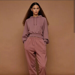 Topshop Crop Hoodie in Rose, Size 8-10 US, NWT